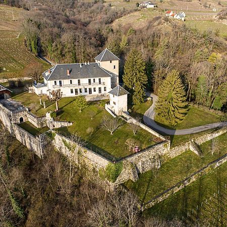 Chateau D'Apremont Apremont  Kültér fotó
