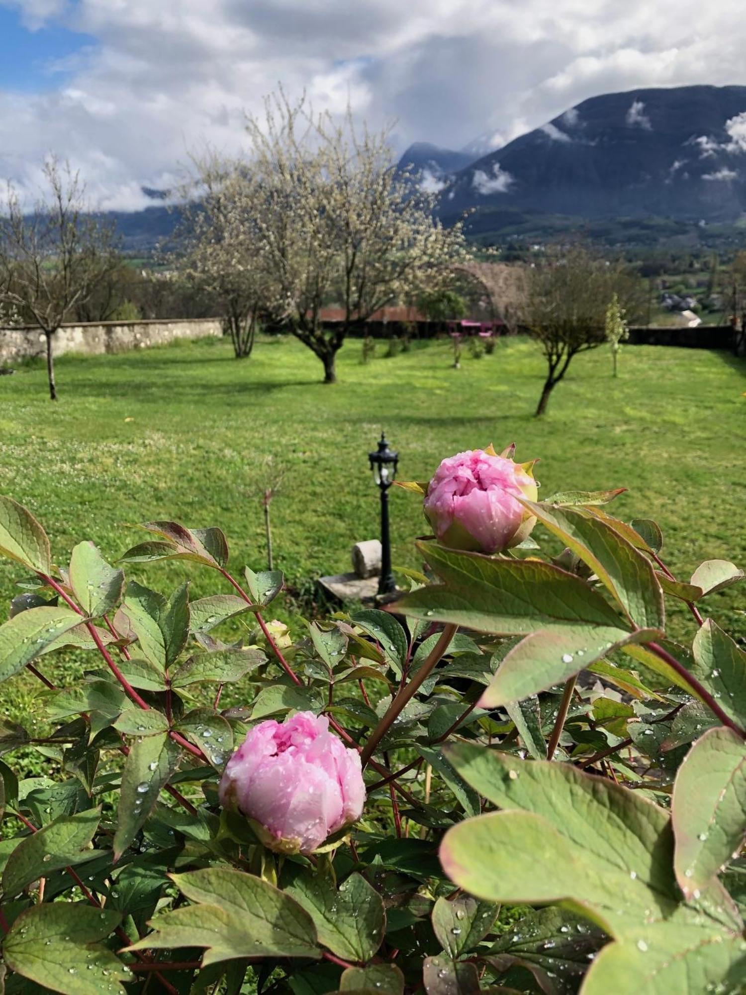 Chateau D'Apremont Apremont  Kültér fotó